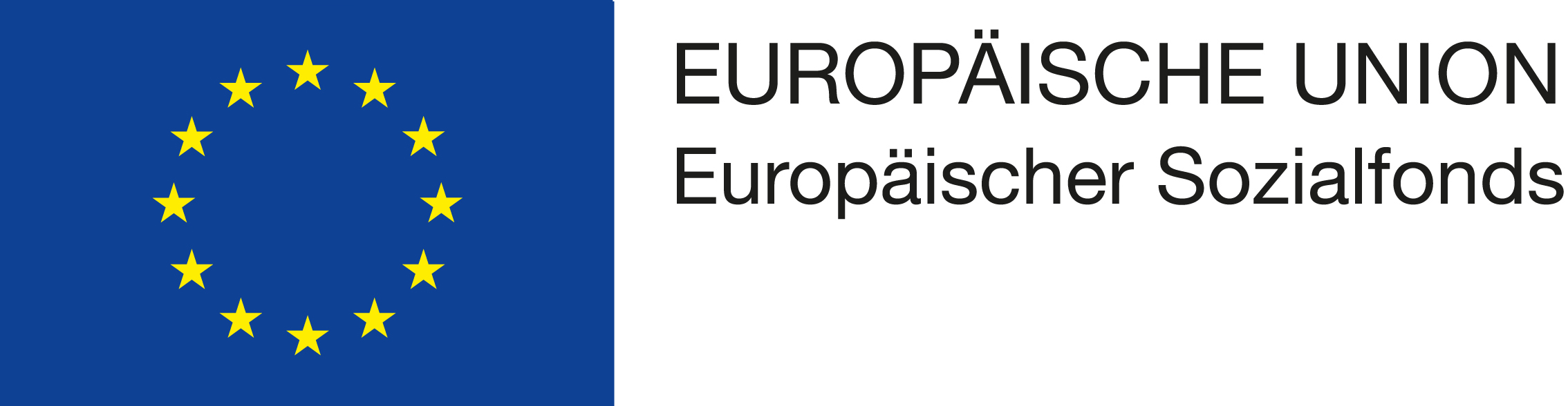 EU Logo